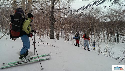 Kamčatská klasika - na lyžích hustým březovým lesem