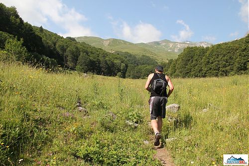 Šlapeme si to z údolí do hor - rozkvetlé louky všude okolo