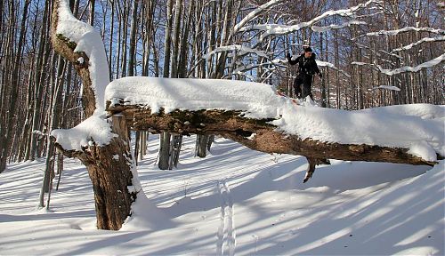 Skialp v Beskydech