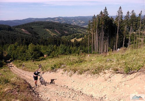 Žlutá turistická značka nad sedlem Stříbrník není úplně přívětivá pro výjezd na horském kole