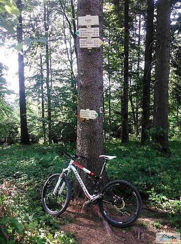 Zaparkoval jsem u rozcestníku Filka (750 m)