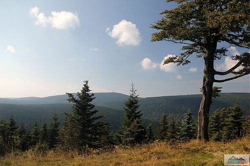 Bezchybné vyhlídky v Jizerských horách