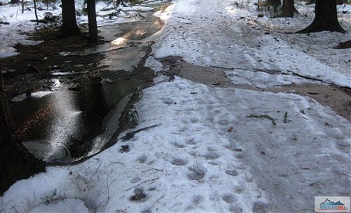 Na první úsek jsem si nevybral hlavní trasu Jizerské magistrály - stav sněhu tomu odpovídal