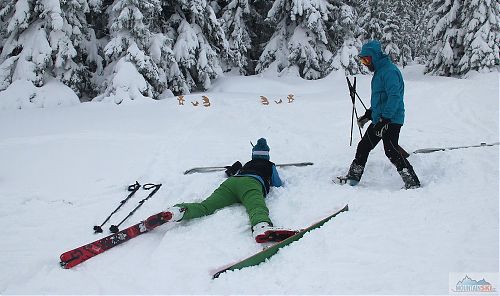 Střelba v leže - medvěd, tetřev nebo bobr? 