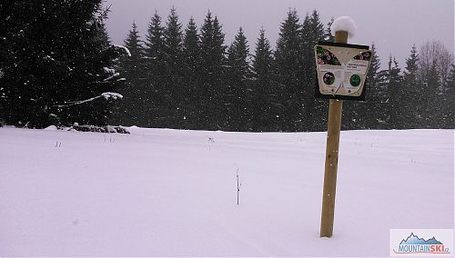 Je-libo Mateřídouškovou pastvinu? Je trochu pod sněhem