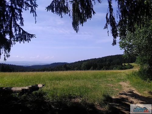 Výjezd z lesa u Vařákových pasek