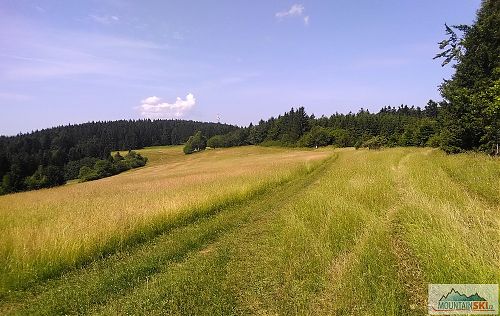 Louky u Vařákových pasek, na kole je to parádní