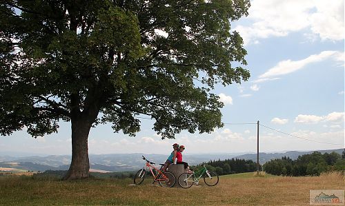 Dokonalost Bludného kazí sloupy a dráty...