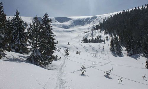 Bulharské skialpové oblasti