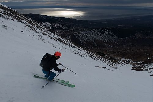 Miško pri zjazde z Peak 3 pri Anchorage