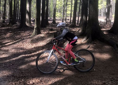 Devítiletá cyklistka valí lesem na kole