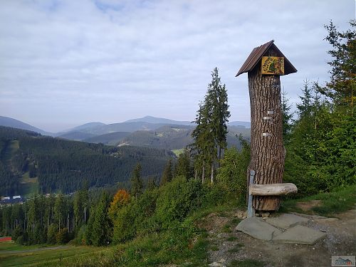 Vyhlídkový provrtaný zbytek stromu na Zbojnické