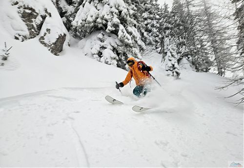 Nejvíce prašanu bylo tam, kde nemohl vítr, tedy mezi stromy