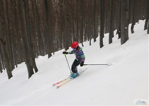 Na lyžích Skialp nad Hrobem - Lusti v beskydském lese