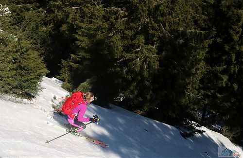 Opět jeden lesní sjezd