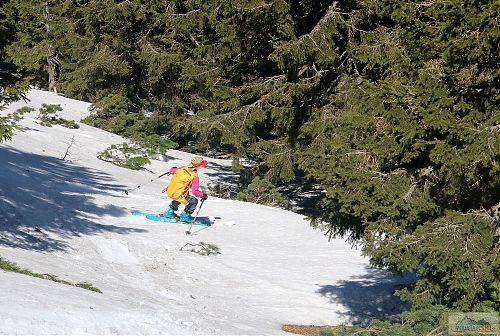 V dalším sjezdu široké G3trojky opět nezklamaly