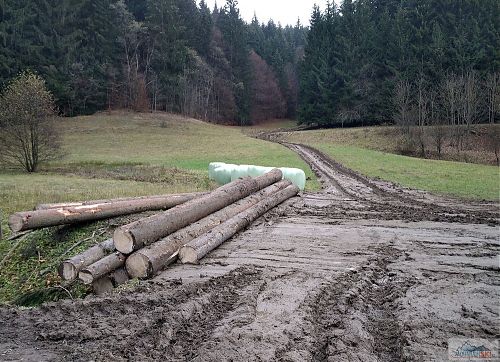 Cestou od studánky Zlatnica jsme viděly, co všechno je možné udělat z louky