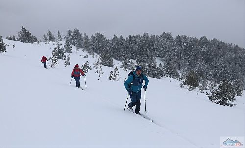 Nad pásmem lesa v oblasti Tzarna Mogila