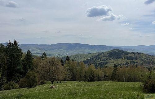 Výhled z vrcholu Ploštiny