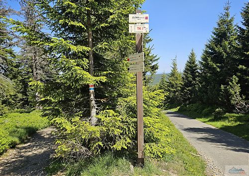 Modrá turistická značka je do začátku července zavřená, červená vede na Pomezní boudy, a tak to bereme po žluté, která je vhodná pro silniční kola